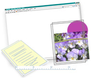 Professional Web Design Services